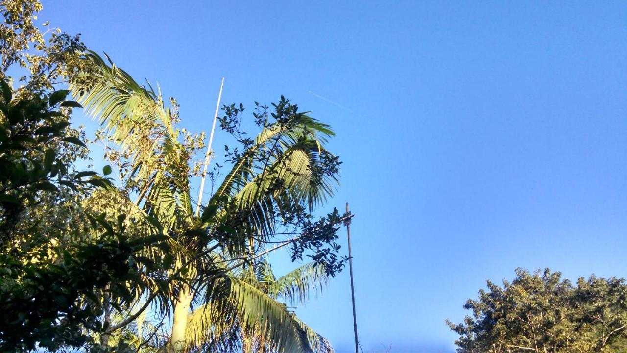 Ouro Grosso *